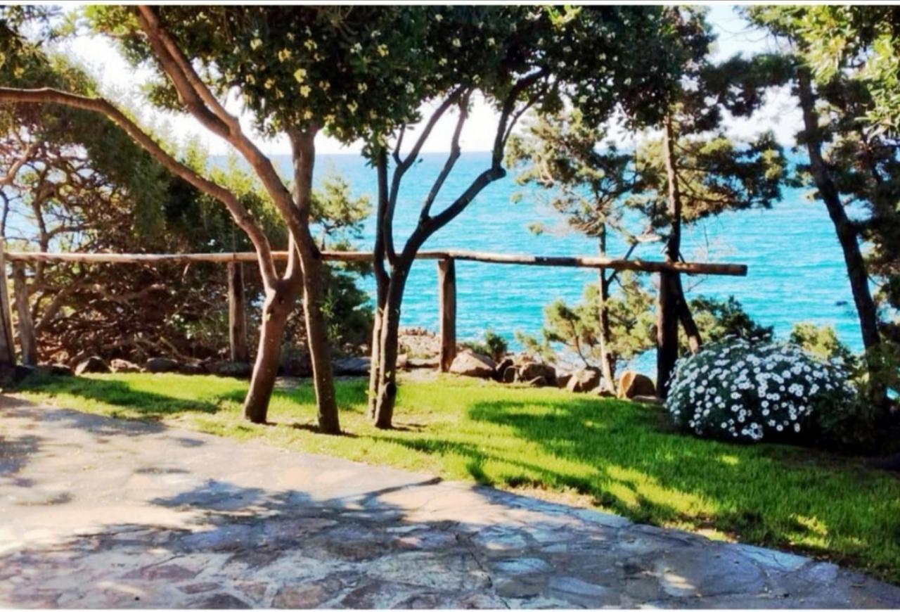 Villa Vera Trifamigliare Con Ingresso Diretto 20 Mt Al Mare Clima Wi-Fi Bbq Cala Liberotto Dış mekan fotoğraf